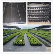 PP Woven Agricultural Weed Mat/ Landscape Fabric